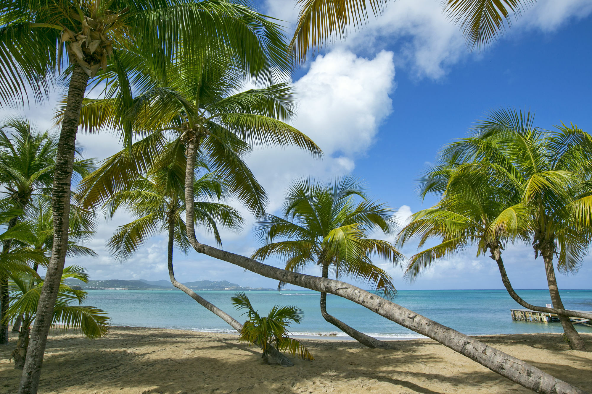 The Buccaneer Beach & Golf Resort Trademark Christiansted Buitenkant foto